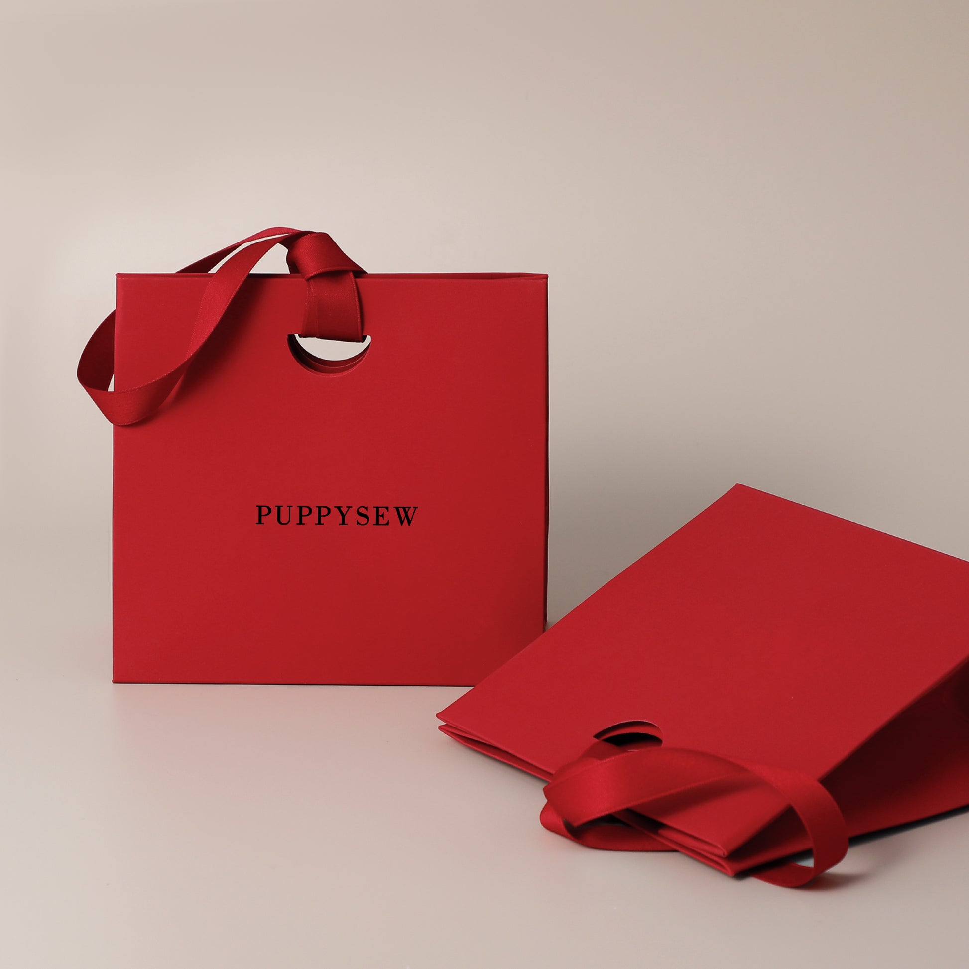 Premium paper gift bags with satin handles, perfect for wedding favors and boutique packaging.-2