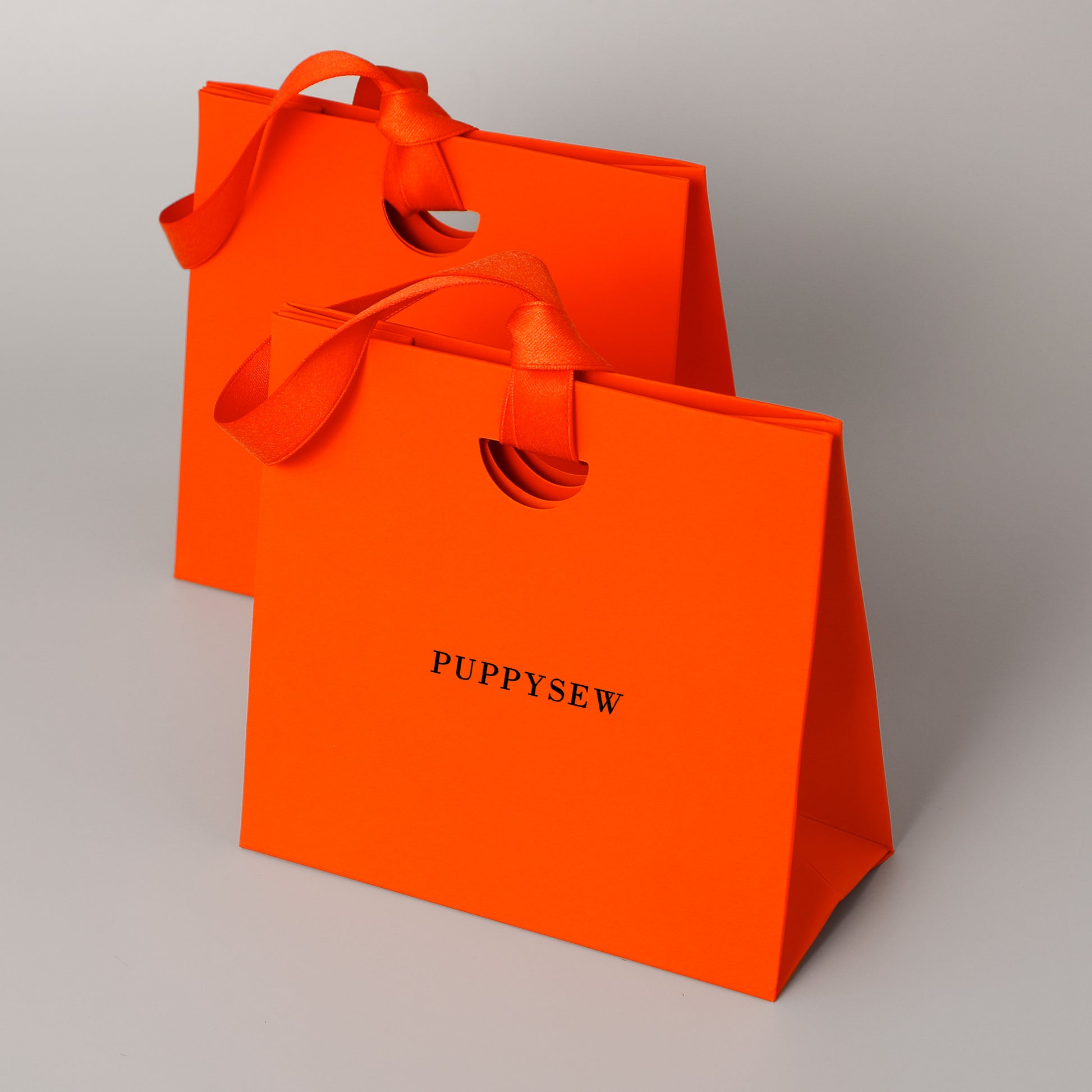 Premium paper gift bags with satin handles, perfect for wedding favors and boutique packaging.-6